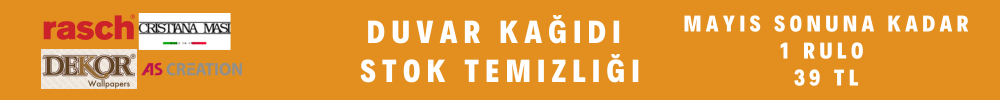 2025 mayıs 39.png (35 KB)